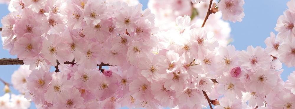 chrystellekandji-aubault